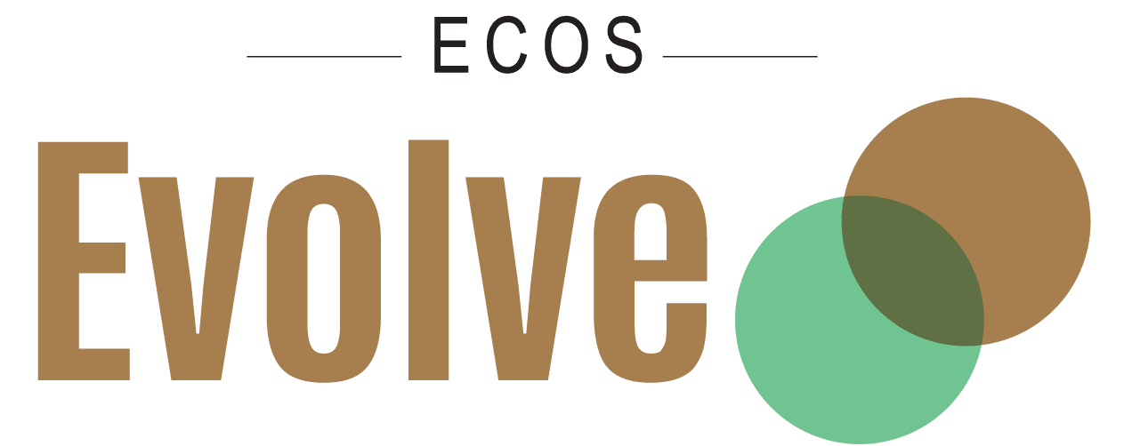 Evolve logo